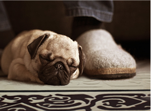 羊毛地毯好處:靜音節(jié)能