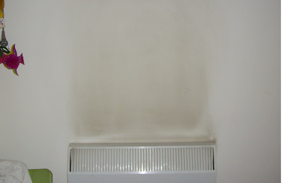 辦公室墻面養護、保護