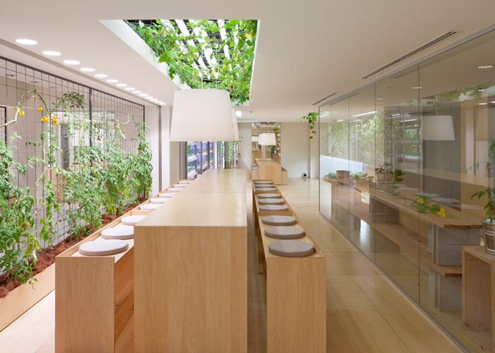 設置背景，形成對比