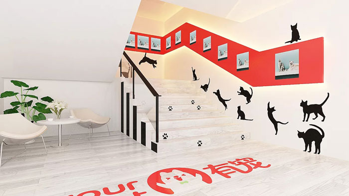 寵物公司辦公室進門區(qū)裝修設(shè)計效果圖