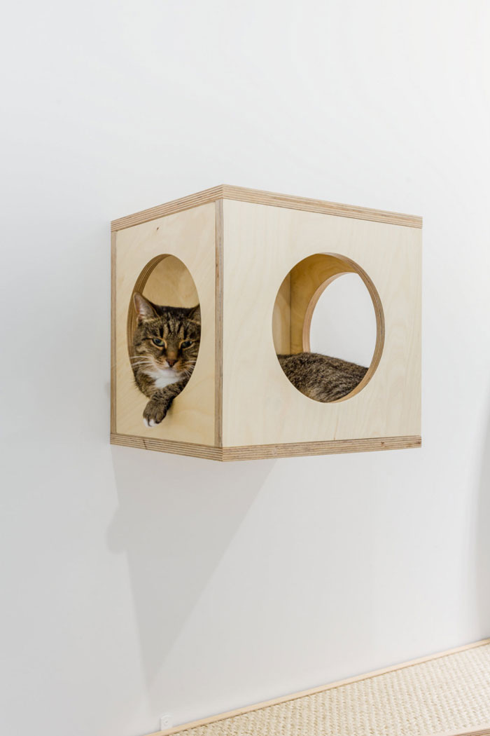 環保辦公室寵物區裝修設計效果圖